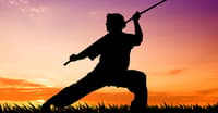 WUSHU’NUN YARARLARI NELERDİR?