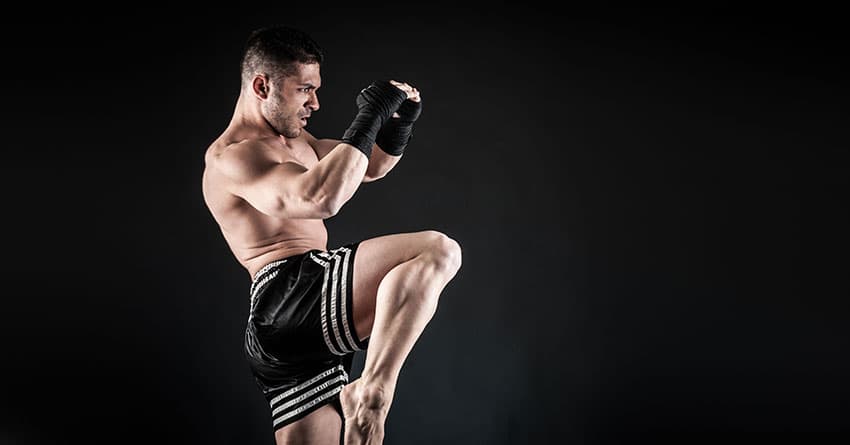 MUAY THAİ İLE 8 ORGAN DÖVÜŞÜ