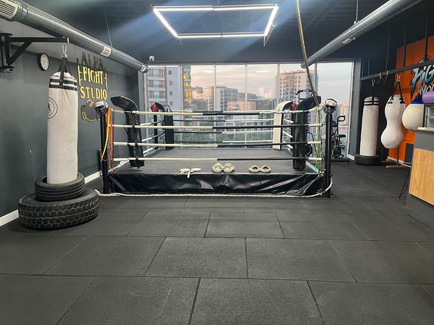 Alfa Fight Studio