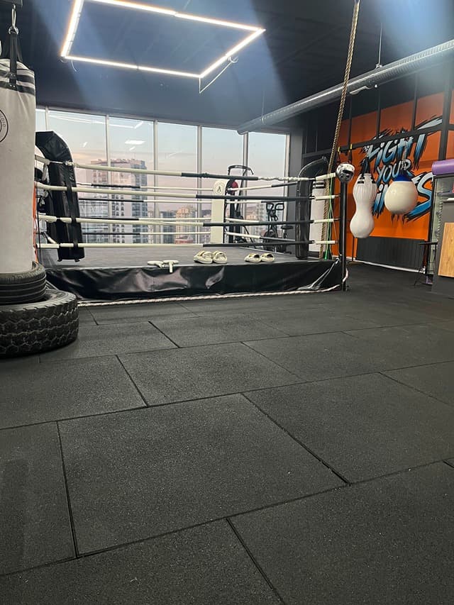 Alfa Fight Studio
