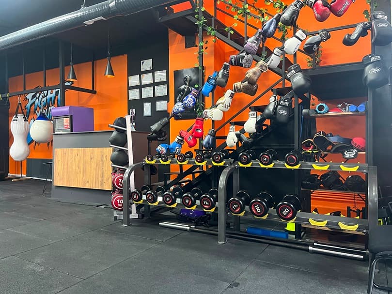 Alfa Fight Studio