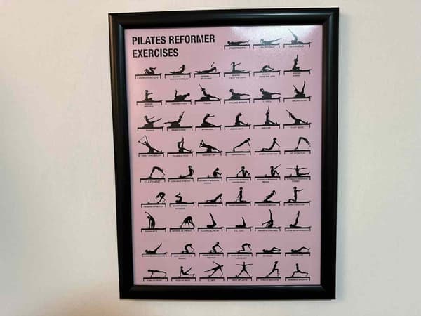 Cat GYM - 25. Fotoğraf