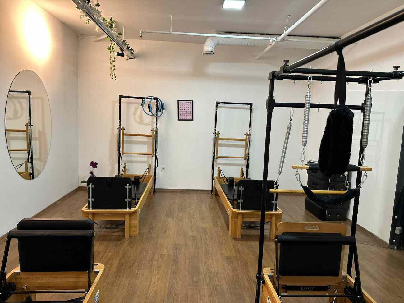 Cat GYM