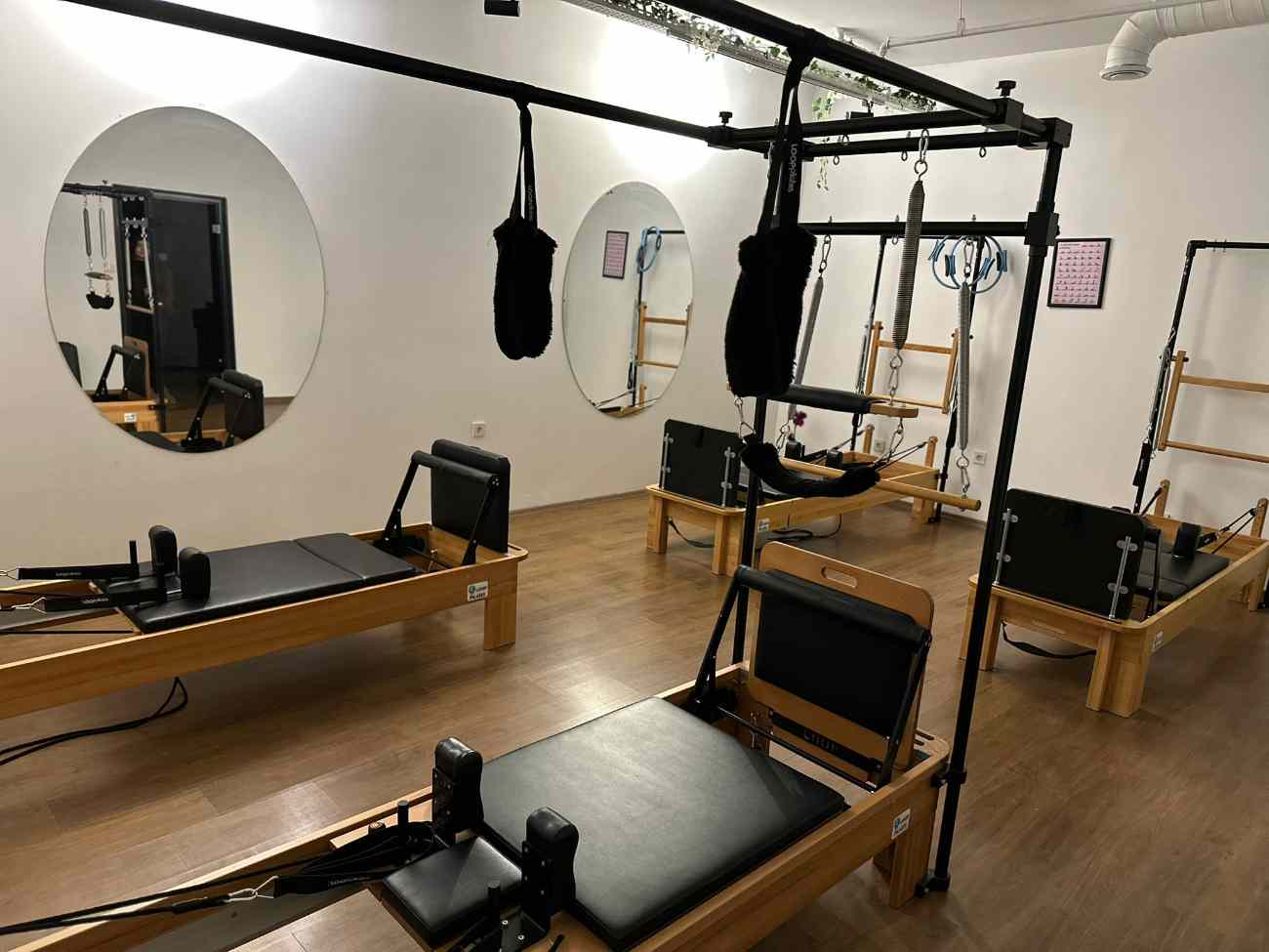 Cat GYM