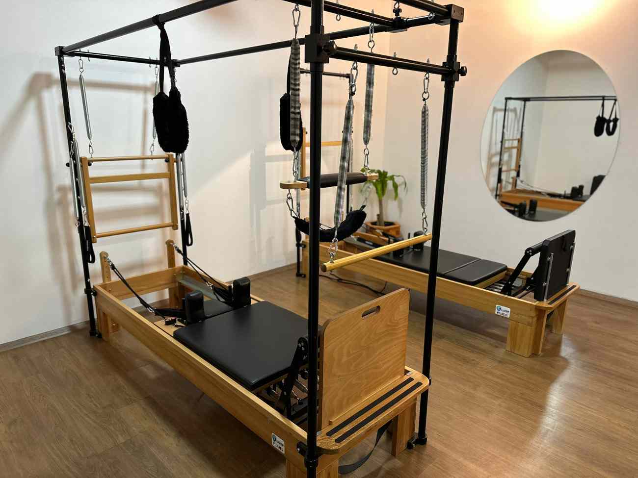 Cat GYM
