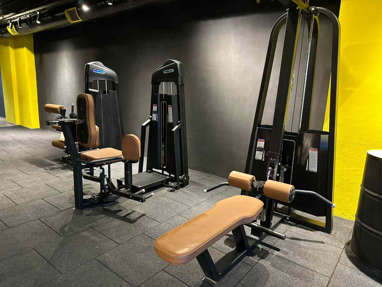 Cat GYM