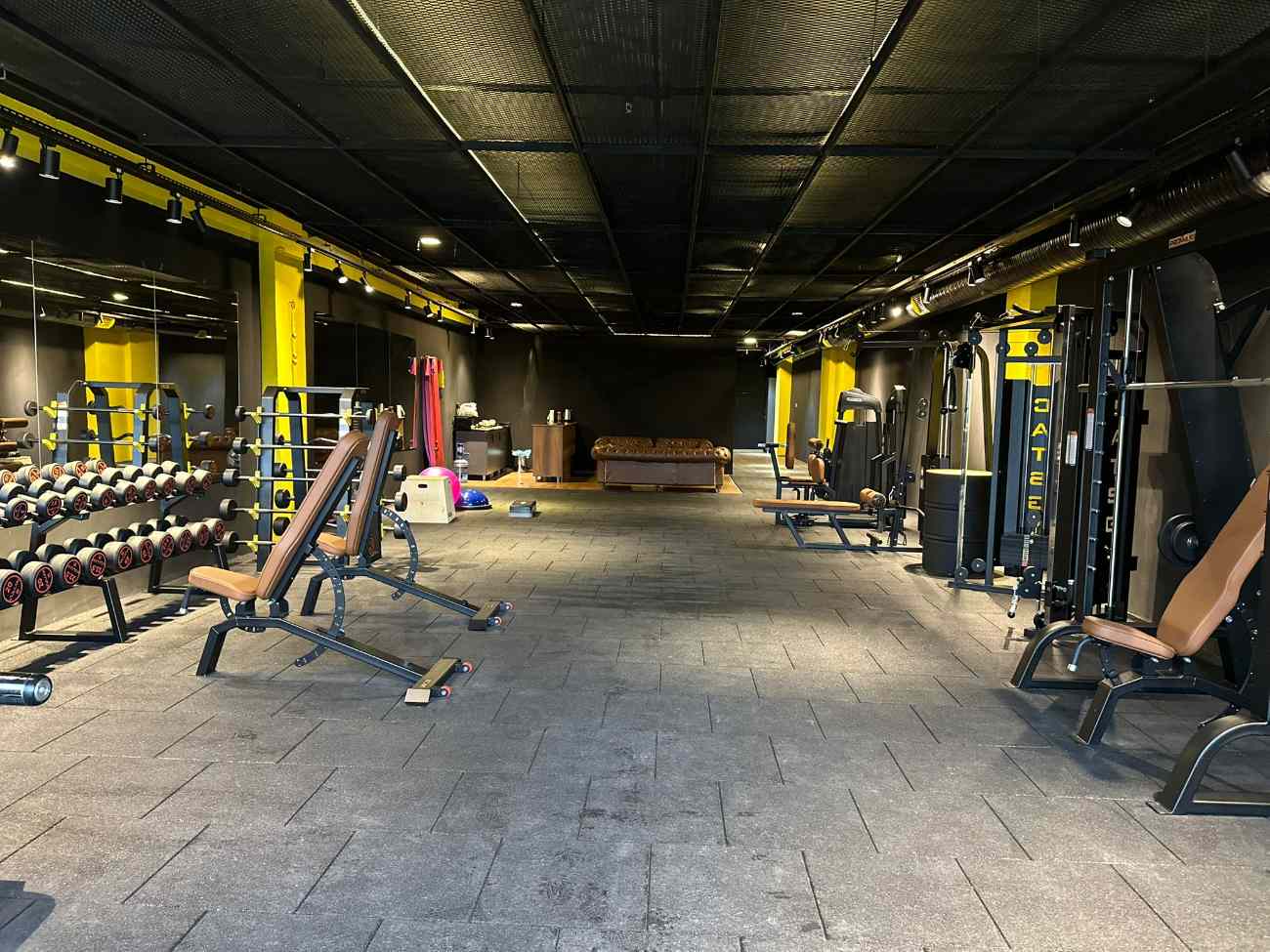 Cat GYM