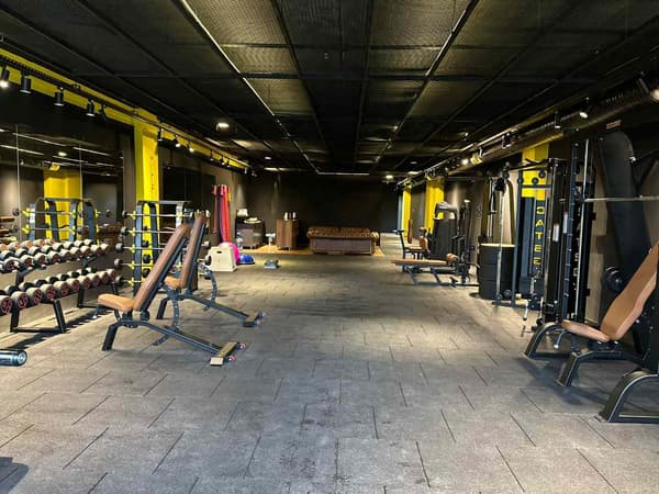 Cat GYM - 18. Fotoğraf
