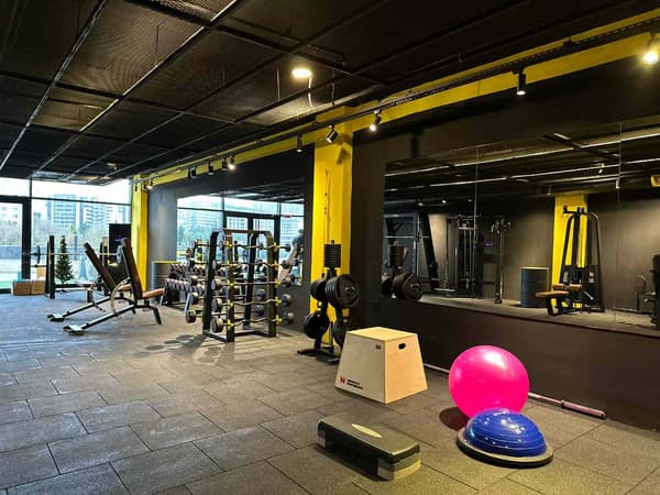 Cat GYM - 4. Fotoğraf