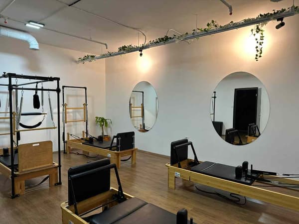 Cat GYM - 7. Fotoğraf