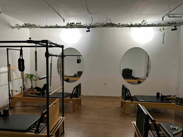 Cat GYM - 11. Fotoğraf