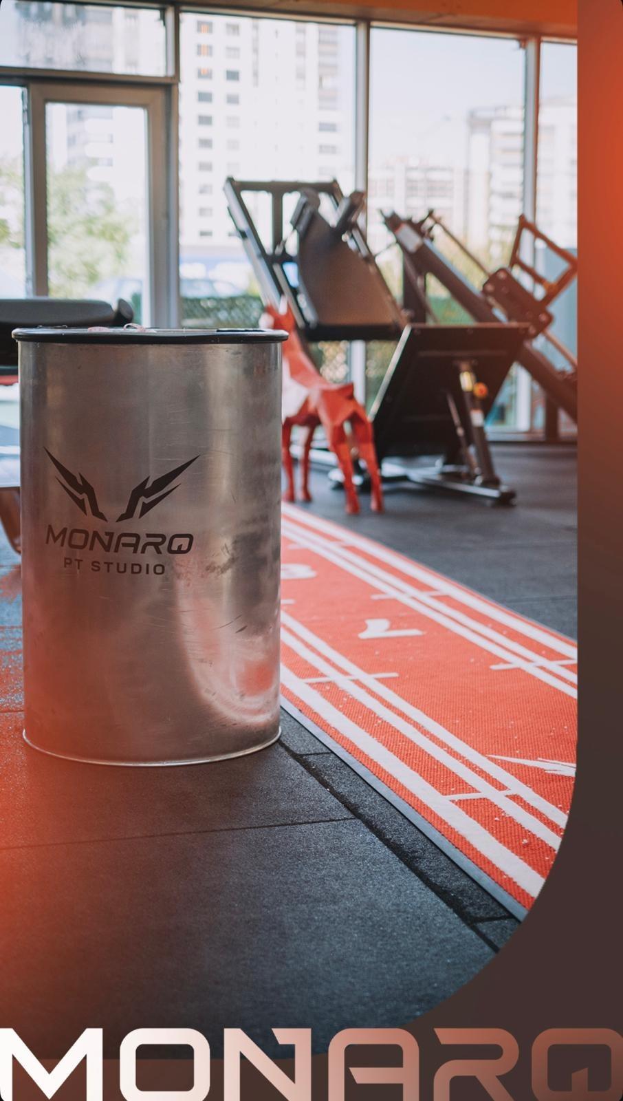 MonarQ Pt Studio 