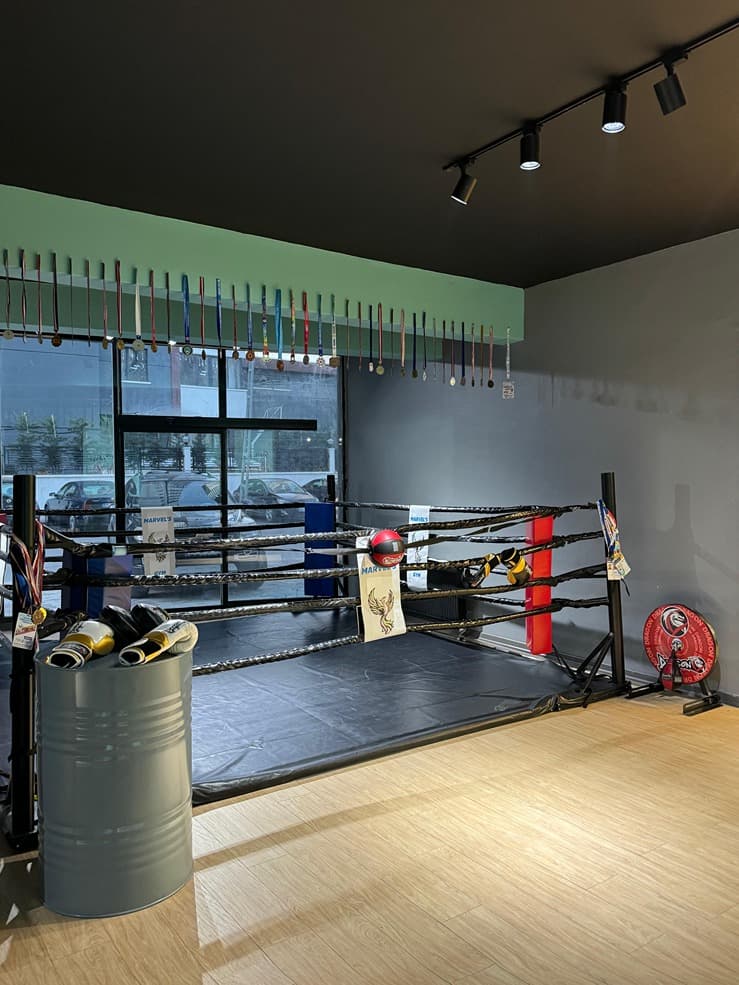 Marvel's Gym