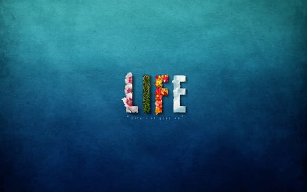 Life Motion Personal Training & Pilates - 20. Fotoğraf Life Motion Personal Training & Pilates - 20. Fotoğraf